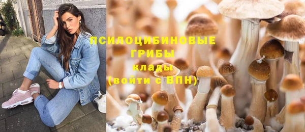 apvp Алексин