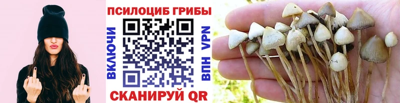 Галлюциногенные грибы мухоморы  Апшеронск 